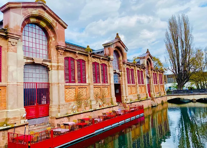 Appartement Spacieux A Colmar Avec Terrasse, Garage Privatif, Proche Centre Et Gare - Fr-1-722-2